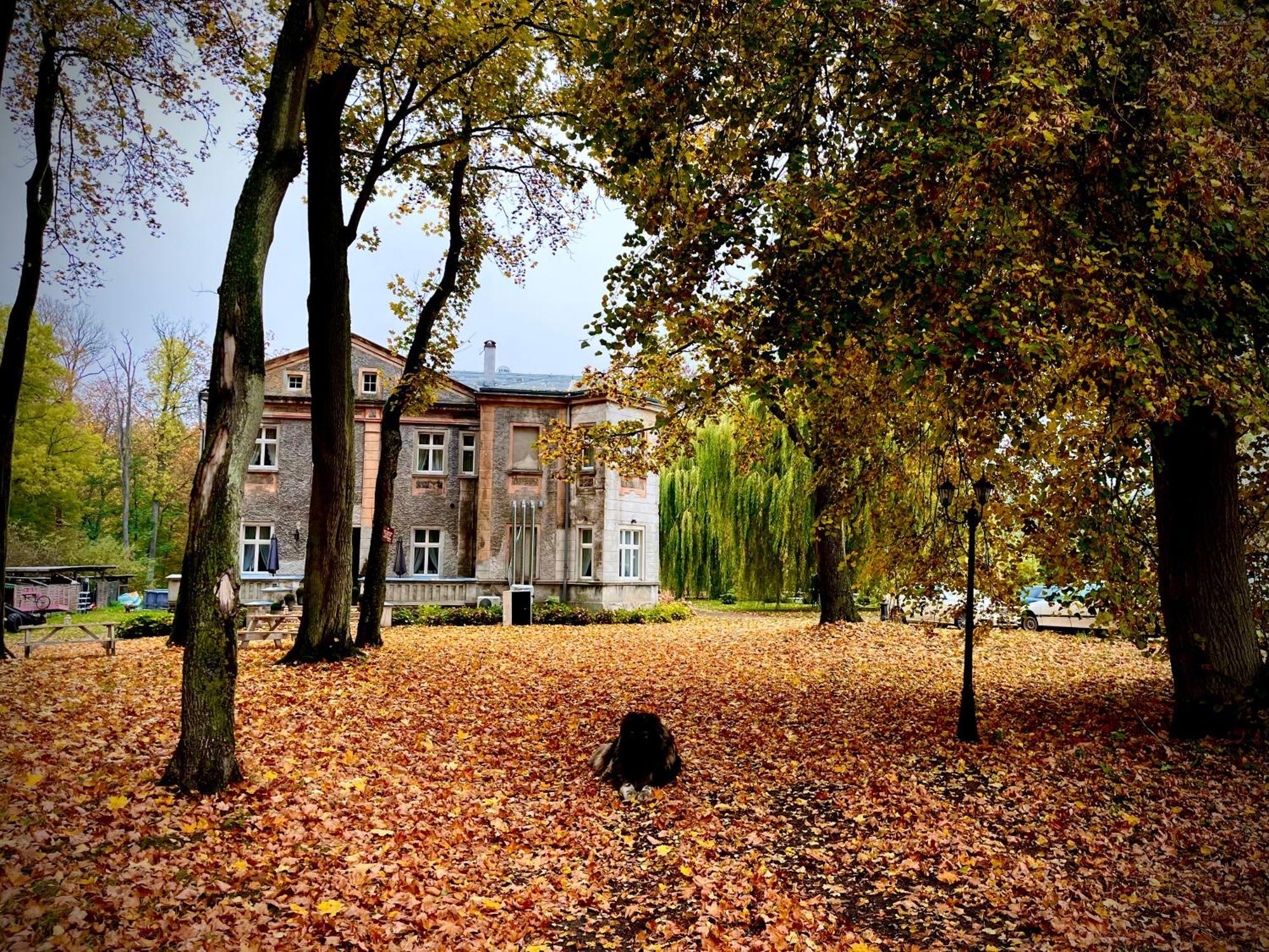 Agroturystyka Hotel Noclegi Palac Camping Wałcz 外观 照片